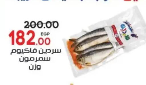 available at Galhom Market in Egypt - Cairo