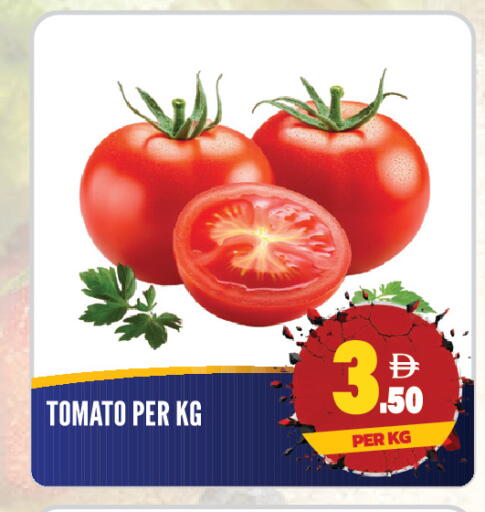 Tomato available at Dream Land in UAE - Sharjah / Ajman