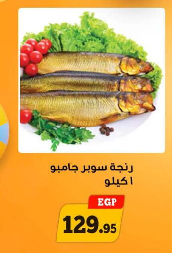 available at أولاد رجب in Egypt - القاهرة