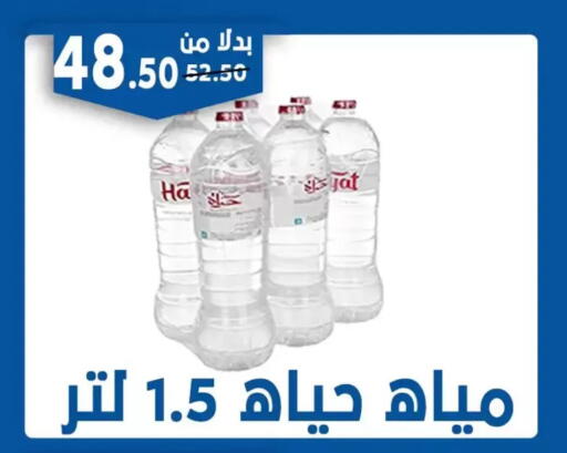 available at Bondok Market  in Egypt - Cairo