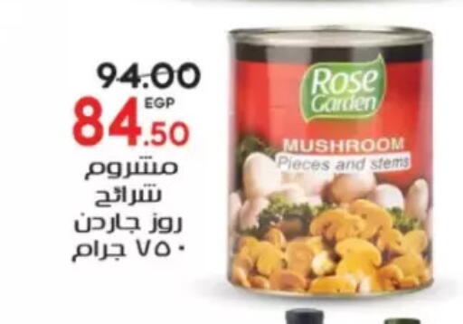 Mushroom available at Galhom Market in Egypt - Cairo