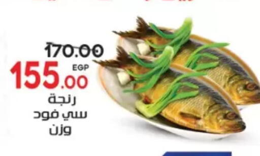 available at Galhom Market in Egypt - Cairo