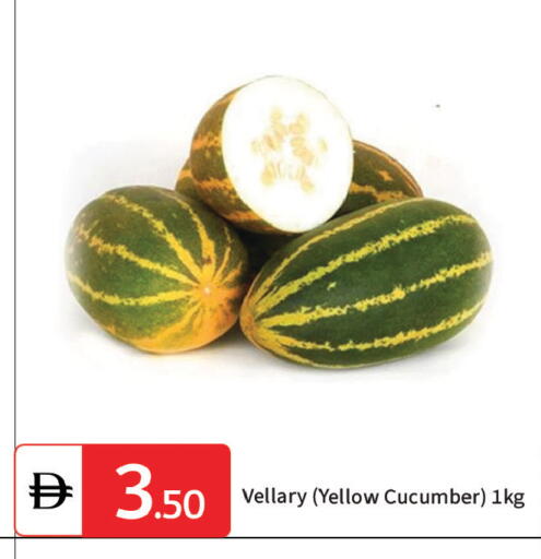 Cucumber available at TALAL MARKET in UAE - Dubai