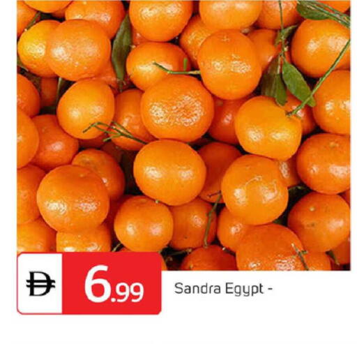 from Egypt available at TALAL MARKET in UAE - Dubai
