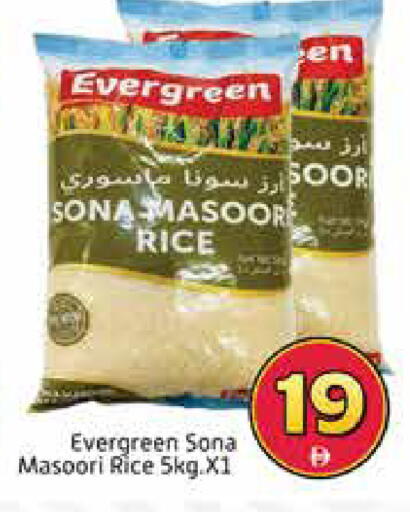 Mango available at Mango Hypermarket LLC in UAE - Dubai