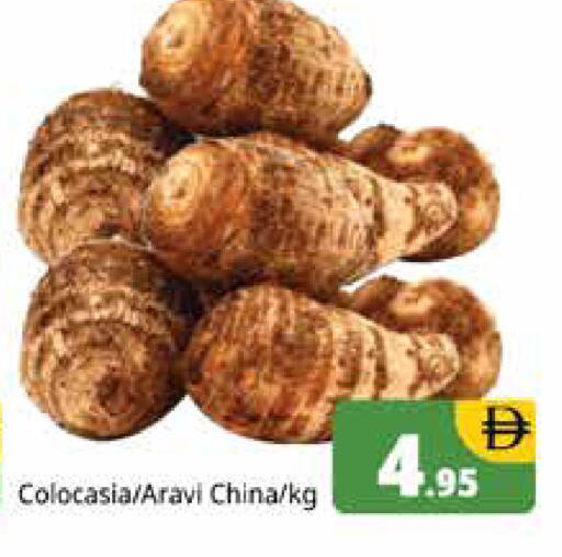 from China available at هايبر ماركت باسونز in الإمارات العربية المتحدة , الامارات - دبي