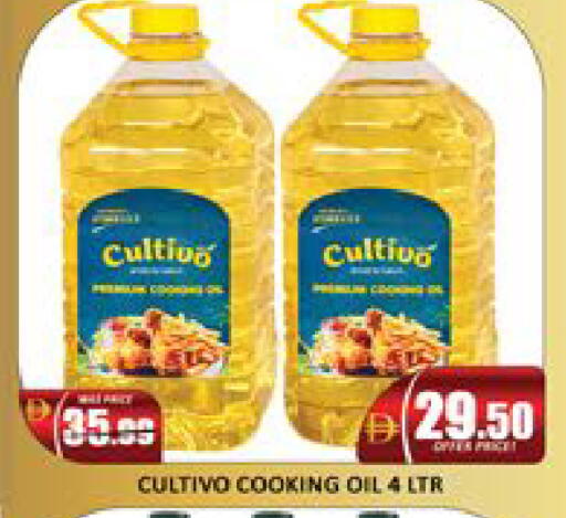 Mango available at Mango Hypermarket LLC in UAE - Dubai