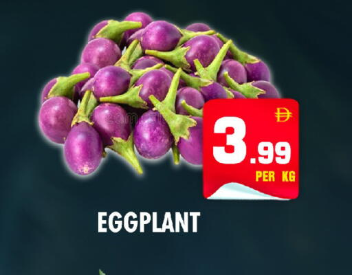 Eggplant available at نايت تو نايت in الإمارات العربية المتحدة , الامارات - الشارقة / عجمان