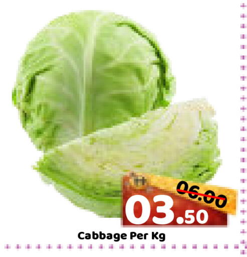 Cabbage available at ROYAL GULF HYPERMARKET LLC in UAE - Abu Dhabi