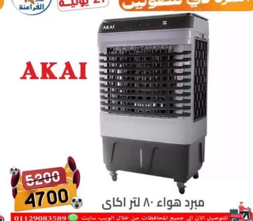 in Egypt - القاهرة