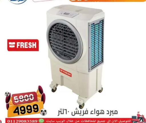in Egypt - القاهرة