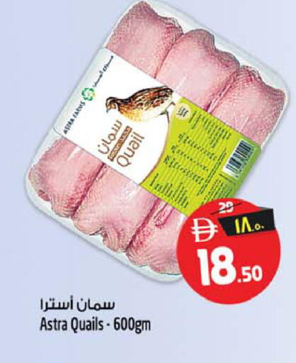 available at سفاري هايبر ماركت in الإمارات العربية المتحدة , الامارات - رَأْس ٱلْخَيْمَة