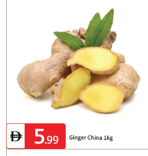 Ginger from China available at TALAL MARKET in UAE - Dubai