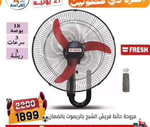 in Egypt - القاهرة