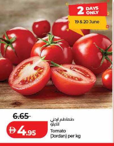 Tomato from Jordan available at لولو هايبرماركت in الإمارات العربية المتحدة , الامارات - رَأْس ٱلْخَيْمَة