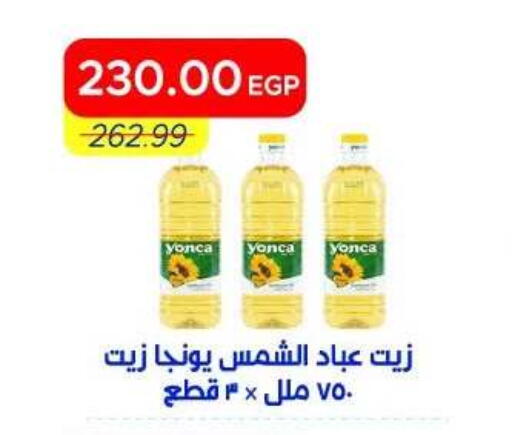 available at Metro Market  in Egypt - Cairo