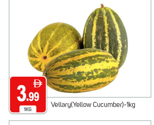 Cucumber available at TALAL MARKET in UAE - Dubai