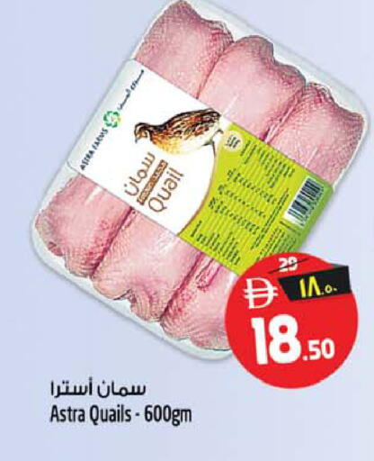 available at سفاري هايبرماركت in الإمارات العربية المتحدة , الامارات - الشارقة / عجمان