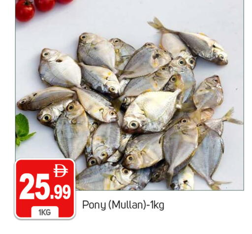 available at TALAL MARKET in UAE - Dubai