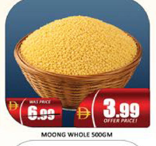 Mango available at Mango Hypermarket LLC in UAE - Dubai