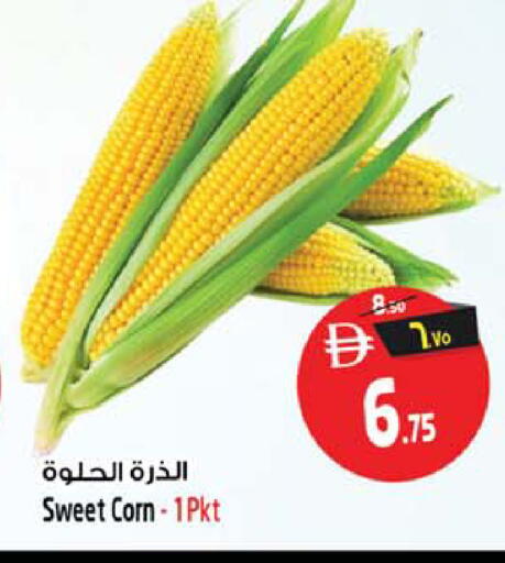 available at SAFARI HYPERMARKET  in UAE - Ras al Khaimah