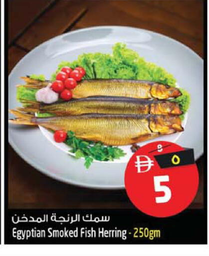 available at سفاري هايبر ماركت in الإمارات العربية المتحدة , الامارات - رَأْس ٱلْخَيْمَة