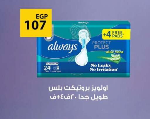 available at Fathalla Market  in Egypt - Cairo