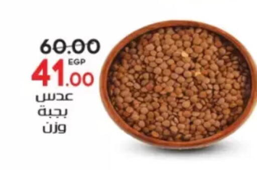 available at Galhom Market in Egypt - Cairo
