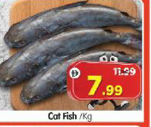 available at Al Madina Hypermarket in UAE - Abu Dhabi