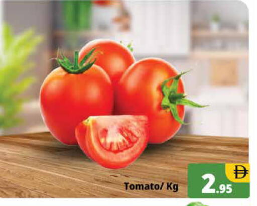 Tomato available at هايبر ماركت باسونز in الإمارات العربية المتحدة , الامارات - دبي