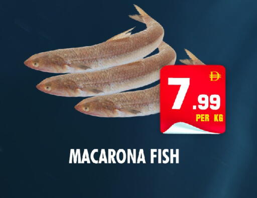 available at نايت تو نايت in الإمارات العربية المتحدة , الامارات - الشارقة / عجمان