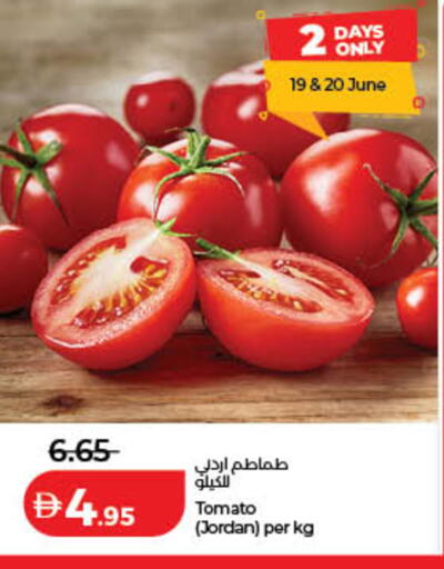 Tomato from Jordan available at Lulu Hypermarket in UAE - Sharjah / Ajman