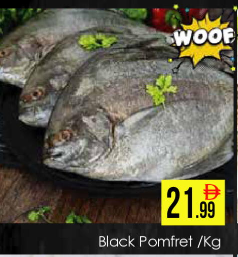 available at AIKO Mall and AIKO Hypermarket in UAE - Dubai