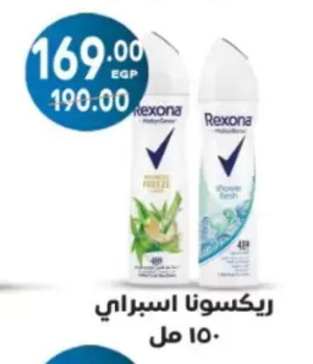 available at Galhom Market in Egypt - Cairo
