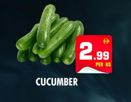 Cucumber available at نايت تو نايت in الإمارات العربية المتحدة , الامارات - الشارقة / عجمان