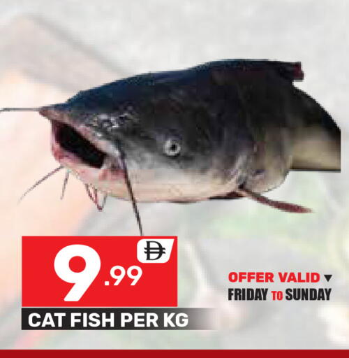 available at دريم نايت هايبرماركت in الإمارات العربية المتحدة , الامارات - دبي