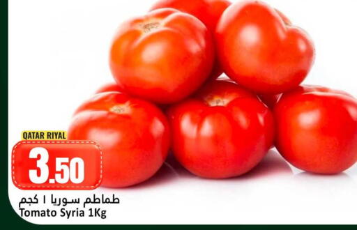 Tomato from Qatar Syria available at Dana Hypermarket in Qatar - Umm Salal