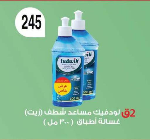 available at فتح الله in Egypt - القاهرة