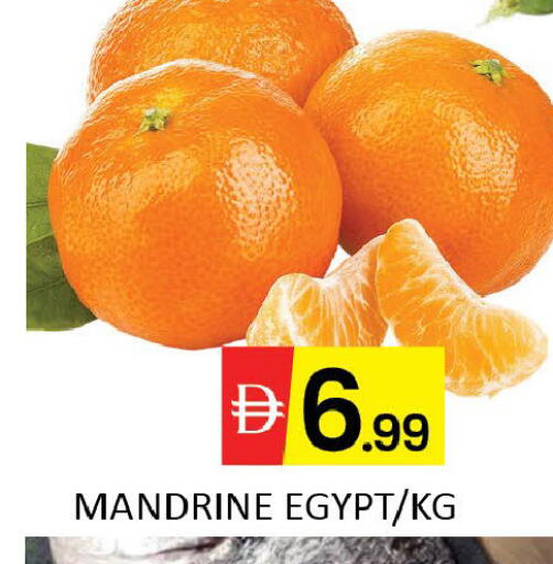 Mango from Egypt available at مانجو هايبرماركت in الإمارات العربية المتحدة , الامارات - دبي