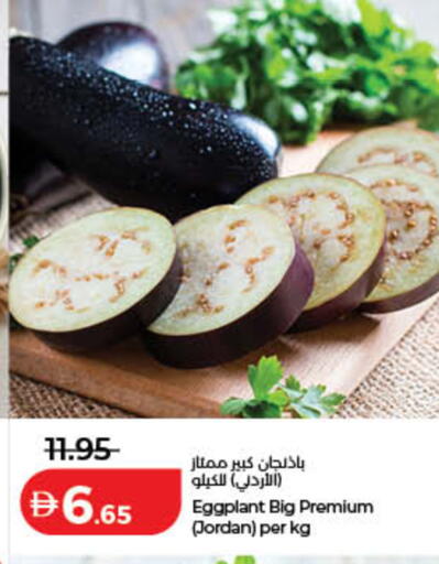 Eggplant from Jordan available at لولو هايبرماركت in الإمارات العربية المتحدة , الامارات - رَأْس ٱلْخَيْمَة