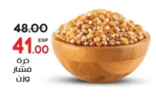 available at Galhom Market in Egypt - Cairo