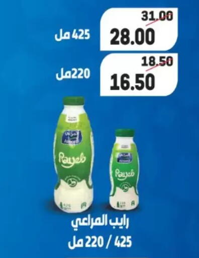 available at Galhom Market in Egypt - Cairo