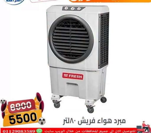 available at Pharaohs Center Shoubra in Egypt - Cairo