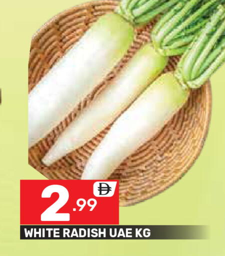 Radish available at دريم نايت هايبرماركت in الإمارات العربية المتحدة , الامارات - دبي