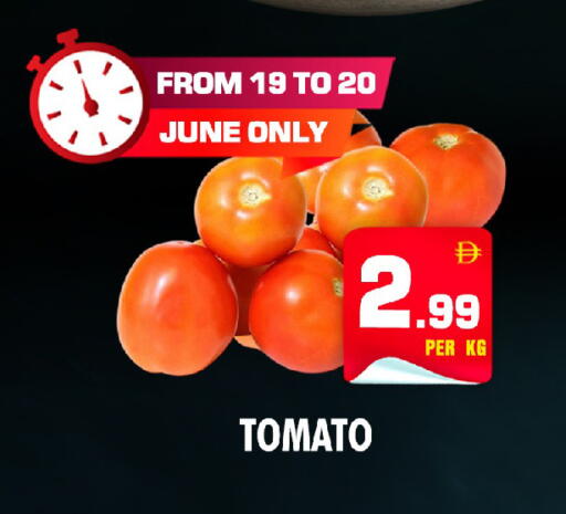 Tomato available at نايت تو نايت in الإمارات العربية المتحدة , الامارات - الشارقة / عجمان