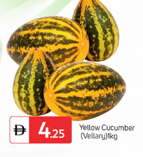 Cucumber available at سوق طلال in الإمارات العربية المتحدة , الامارات - الشارقة / عجمان
