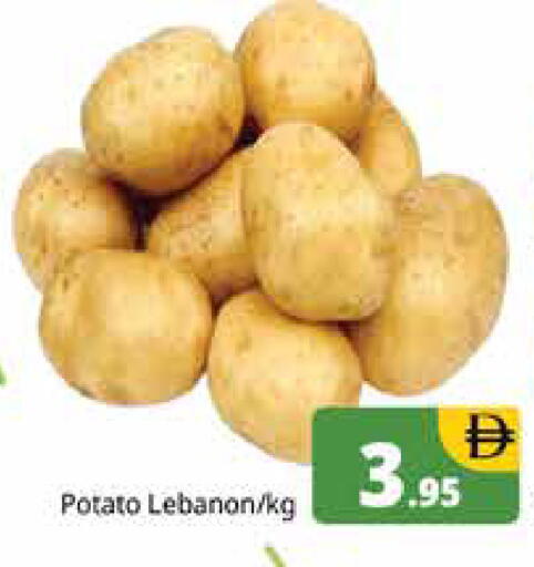 Potato from Lebanon available at هايبر ماركت باسونز in الإمارات العربية المتحدة , الامارات - دبي