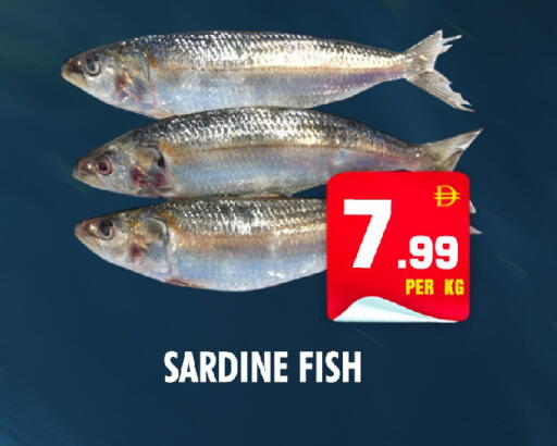 available at نايت تو نايت in الإمارات العربية المتحدة , الامارات - الشارقة / عجمان