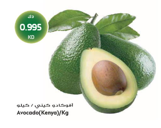 Avocado from Kenya available at Grand Hyper in Kuwait - Jahra Governorate