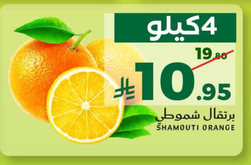 Orange available at ميرا مارت مول in مملكة العربية السعودية, السعودية, سعودية - جدة
